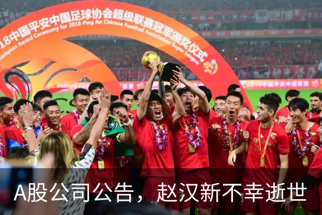 A股公司公告，赵汉新不幸逝世
